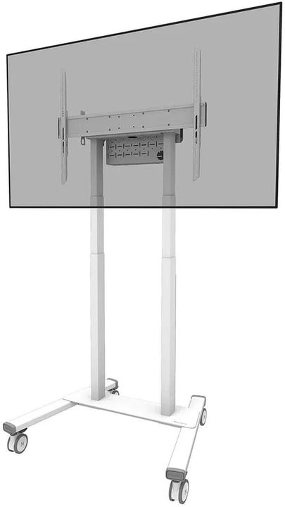 Neomounts FL55-875WH1 (110 kg, 37" - 100")