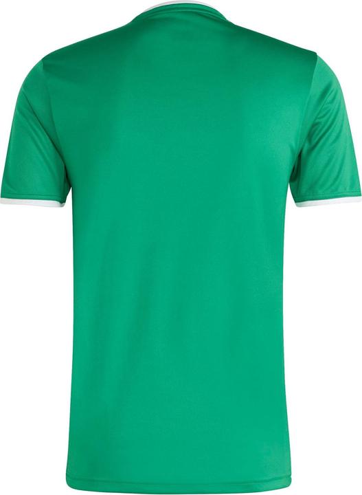 Actual product image Adidas Entrada T-Shirt (M)