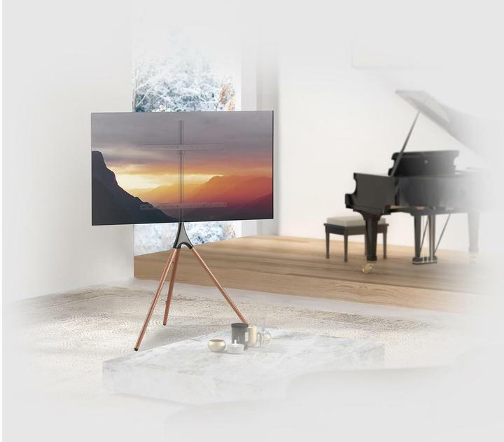Actual product image myWall HT 22L (Universal, 75", 32 kg)
