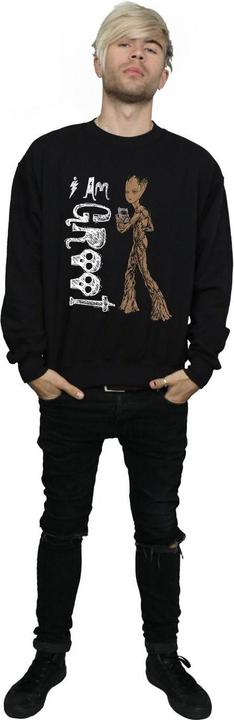 Produktbild Avengers Infinity War I Am Teenage Groot Sweatshirt (L)
