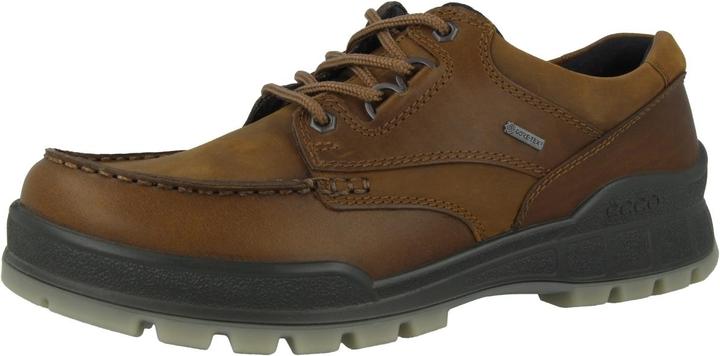 Actual product image Ecco Track 25 Low GTX (40)