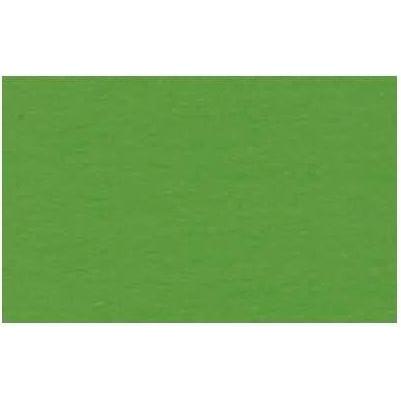 Ursus, Bastelpapier, Fotokarton 300g/qm A4 VE=50 Blatt lindgrün (300 g/m², 1 x)