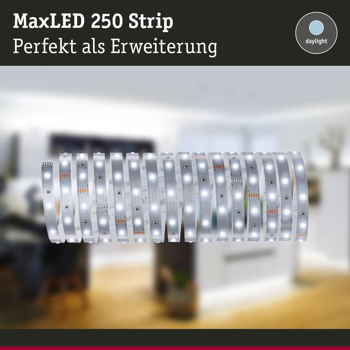 Produktbild Paulmann MaxLED 250 Stripe (Tageslicht, 500 cm, Indoor)