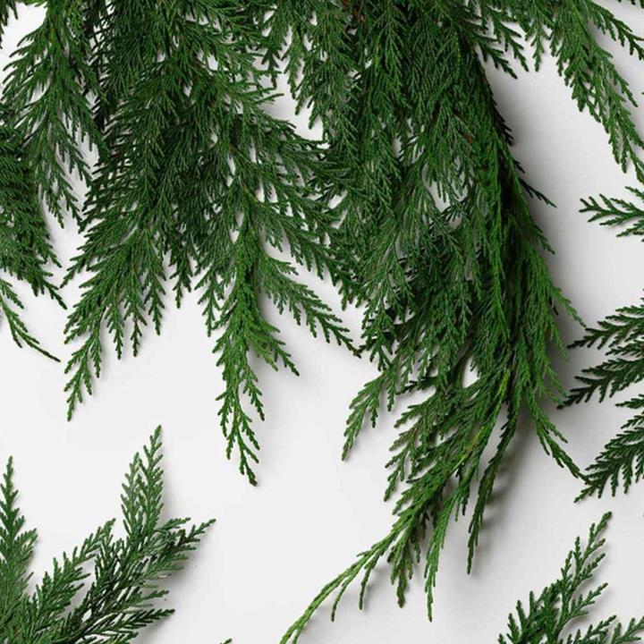 Produktbild Ralph Lauren Polo Deep Blue by (Eau de Parfum, 125 ml)