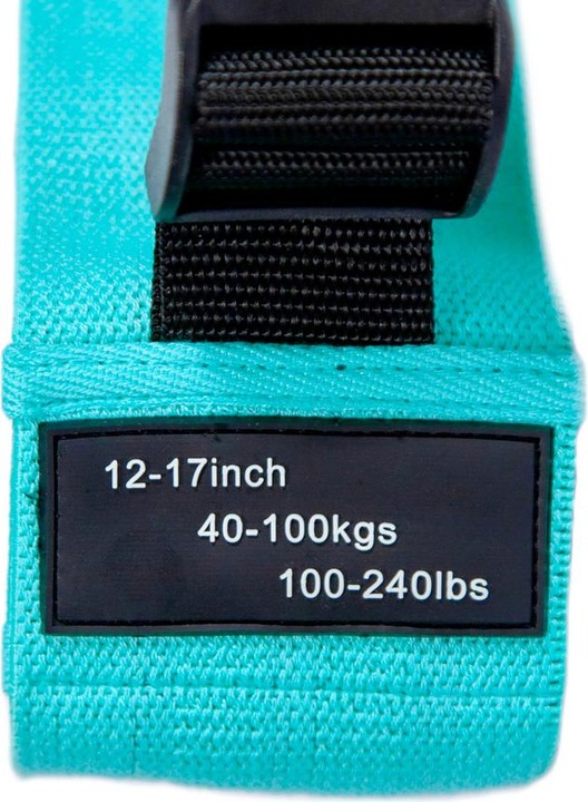 Produktbild Booty Builder Loop Band Adjustable Turquoise (0.43 m)