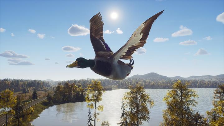 Actual product image THQ Way of the Hunter - Wild Expeditions (Xbox Series X, FR, IT)