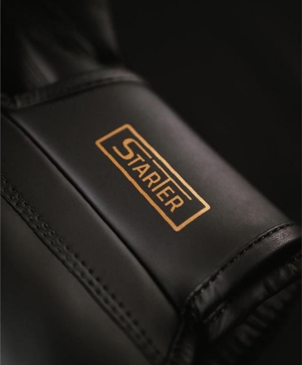Image du produit MetalBoxe Gants de Boxe Entrainement Starter (10 OZ, 10)