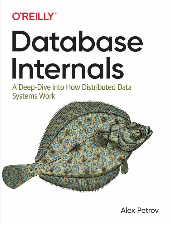 Produktbild Database Internals: A Deep Dive into How Distributed Data Systems Work (Englisch, Alex Petrov, 2019)