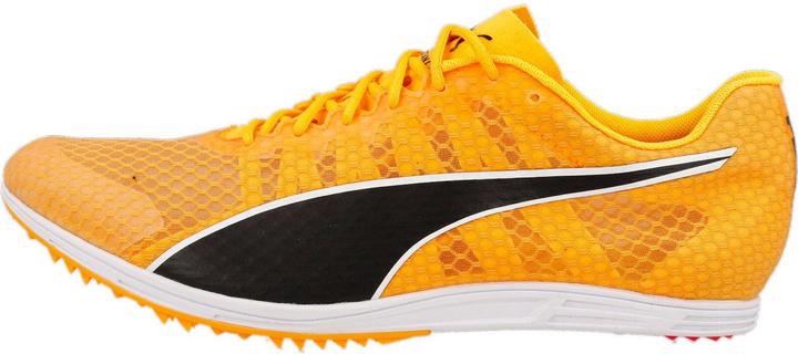 Produktbild Puma evoSPEED Distance 11 (46)