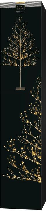 Produktbild STT Champagne Baum