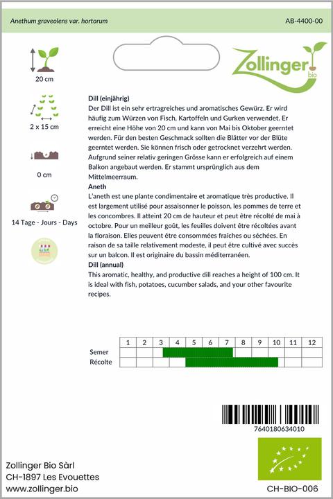 Produktbild Zollinger Bio Dill (einjährig) (Keimlinge)