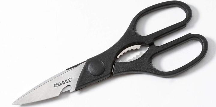 Actual product image Dahle Shears (21 cm)