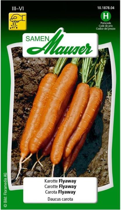 Samen Mauser Karotte Flyaway (Gemüsesamen)