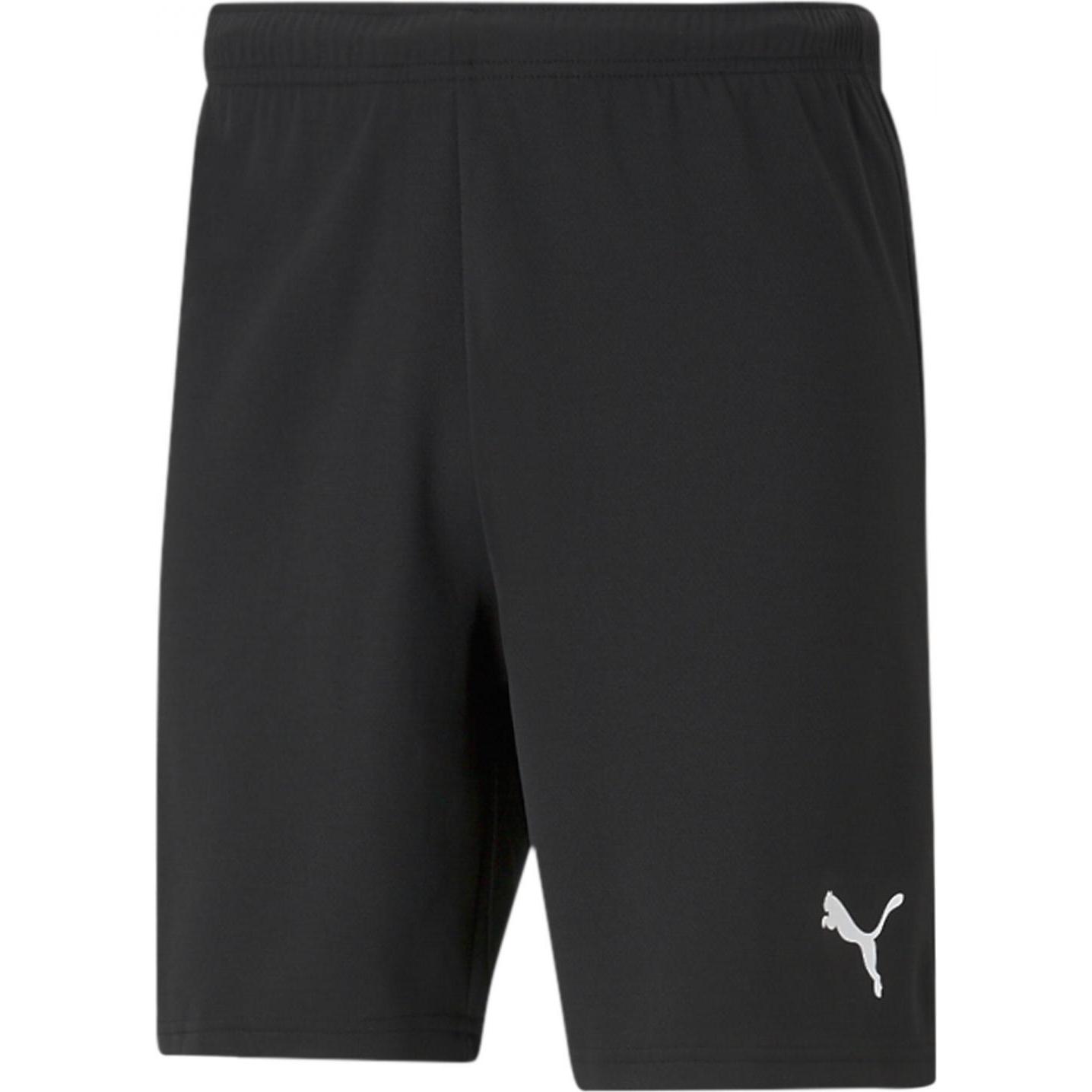 Puma, Herren, Sporthose, teamRISE Short-704942 (46 E), Blau, 46 E
