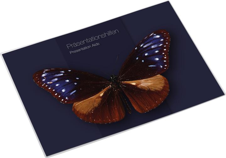 Produktbild Magnetoplan MAGNETOFIX - Sichttasche