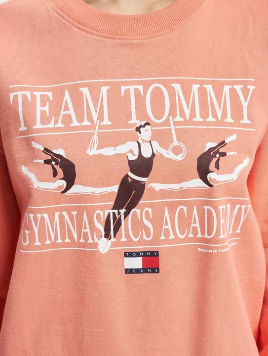 Actual product image Tommy Hilfiger Tommy Jeans Rlxd Gym Sweater - 88837 (S)