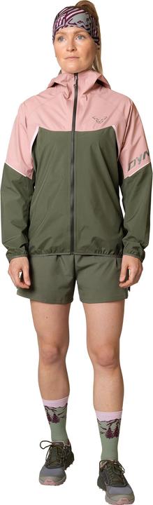 Immagine prodotto Dynafit Alpine GTX (M)