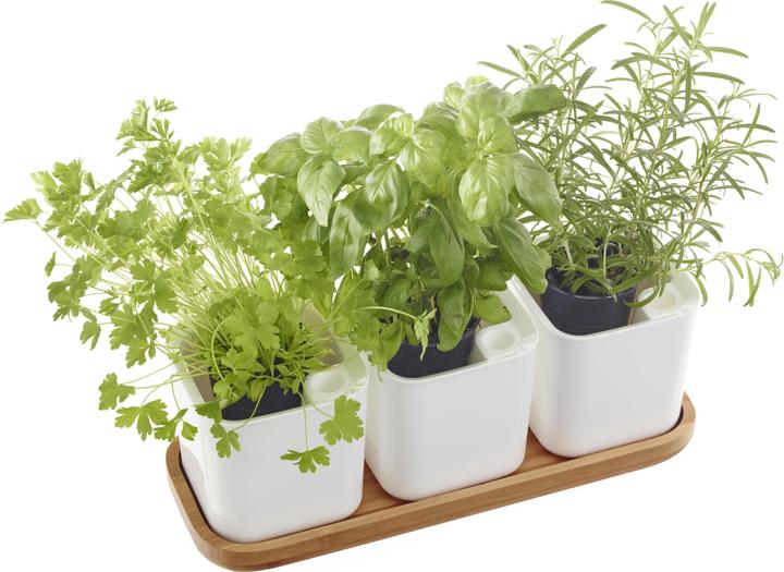 Produktbild Orthex Eden (14 cm)