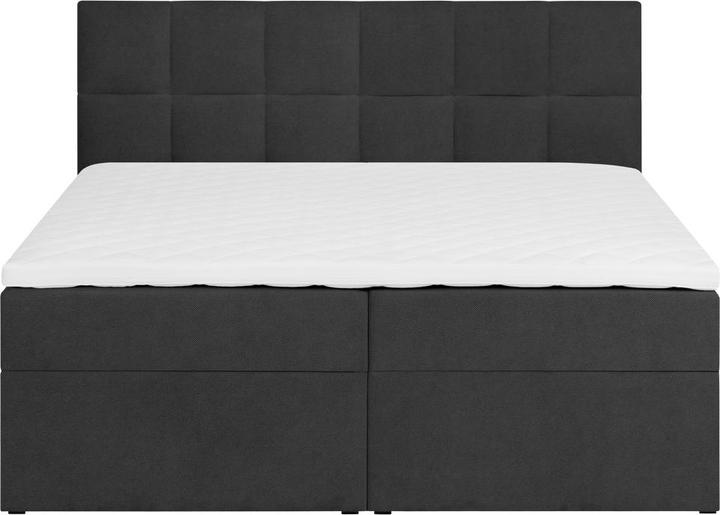 Immagine prodotto Livetastic Lorie (180 x 200 cm)