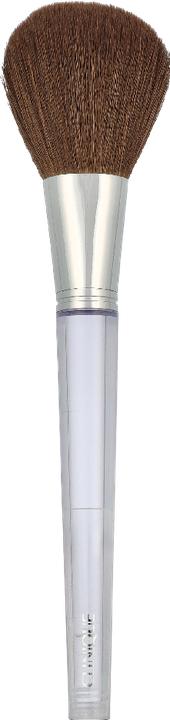 Actual product image Clinique Brush (Powder)