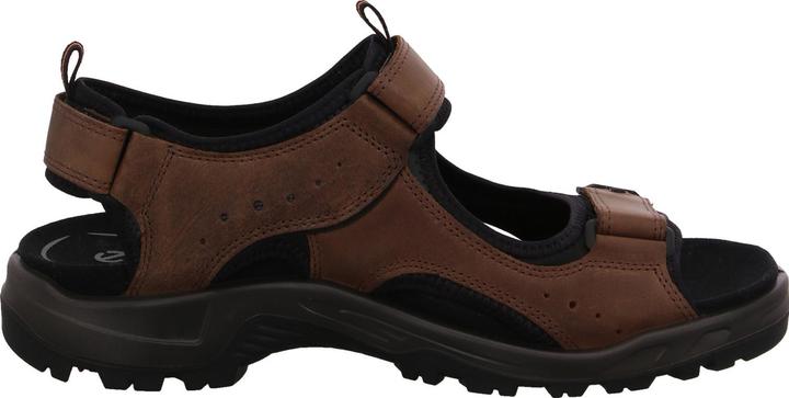 Actual product image Ecco Offroad Andes II (42)