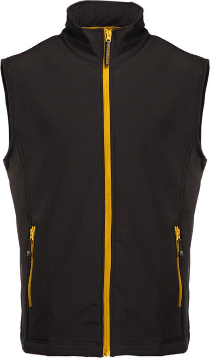 Black, Gold