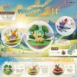 Actual product image Re-Ment Terrarium Collection Vol.14 (1 Random)