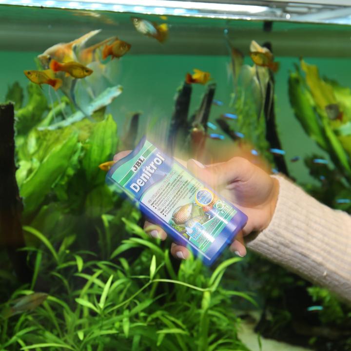 Image du produit JBL Aquaristik und Terraristik Denitrol 250ml pour 7500l (Entretien de l'eau de l'aquarium)