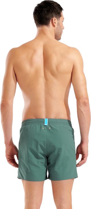 Image du produit Arena M Graphic Beach Short (M)