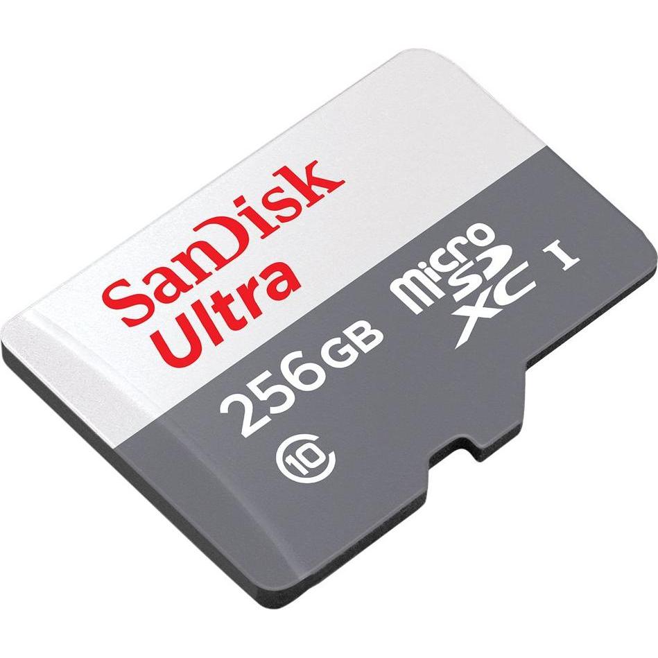 Thumbnail - SanDisk Ultra Lite microSDXC Ad. 256GB 100MB/s (256 GB, microSDXC, U1, UHS-I), Speicherkarte, Grau