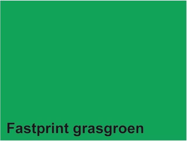 Quantore Kopierpapier Fastprint A4 160gr grasgrün 50 Blatt
