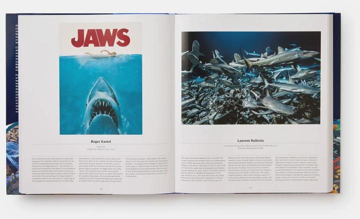 Produktbild Ocean (Englisch, Anne-Marie Melster, Collectif, Phaidon Editors, 2022)