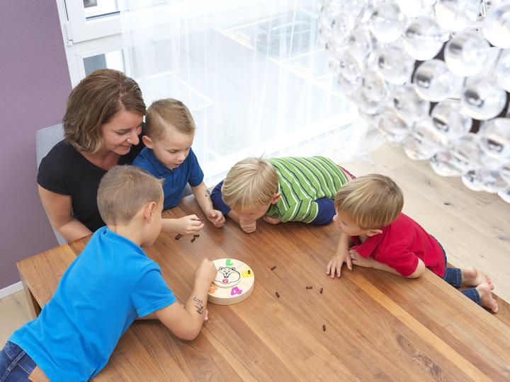 Produktbild Brändi Hamster (Deutsch, 2 - 5 Spieler)