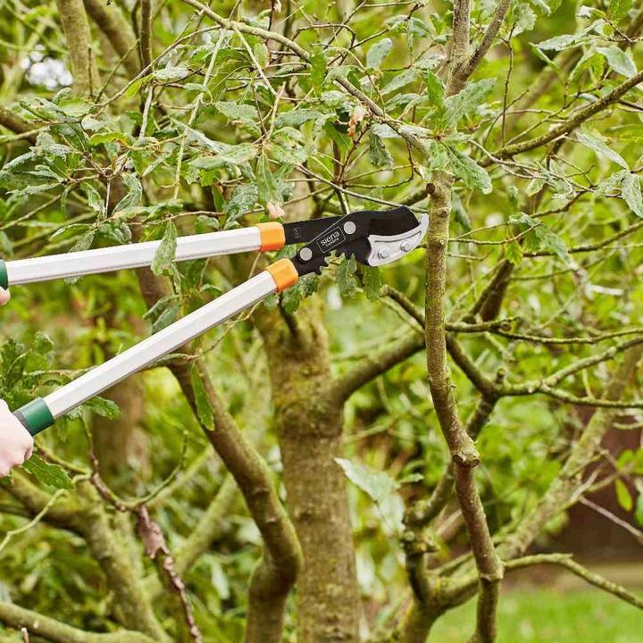 Actual product image Siena Garden pruning shears