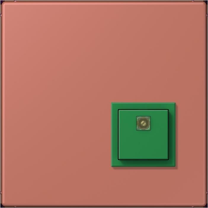 Actual product image JUNG Switch-off button