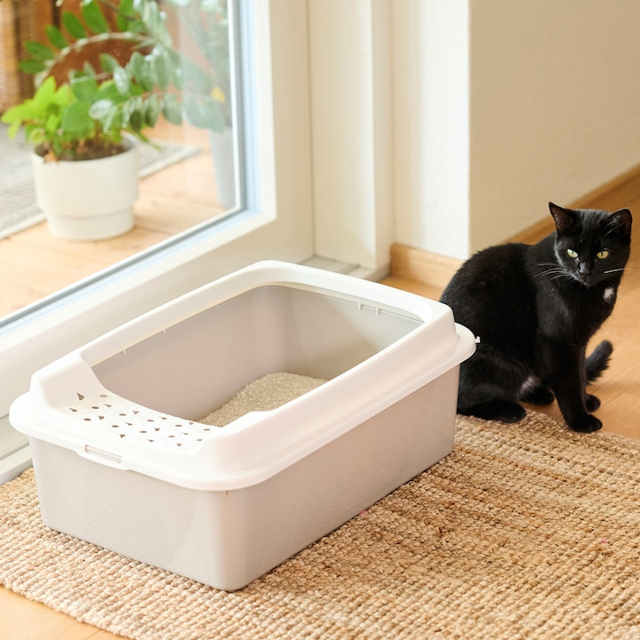Actual product image Rotho Bonnie M Eco (Cat litter box closed)