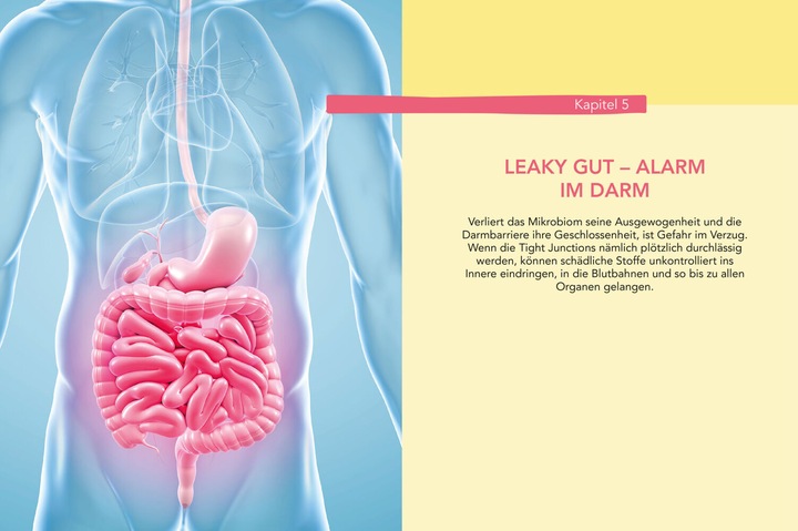 Produktbild Das hilft bei Leaky Gut - Wie ein durchlässiger Darm uns krank macht und was wir dagegen tun (Deutsch, Claus Muss, Götz Nowak, Heike Bueß-Kovács, 2019)