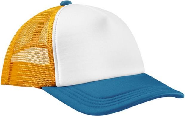 Erbe blau, Sonnenblume