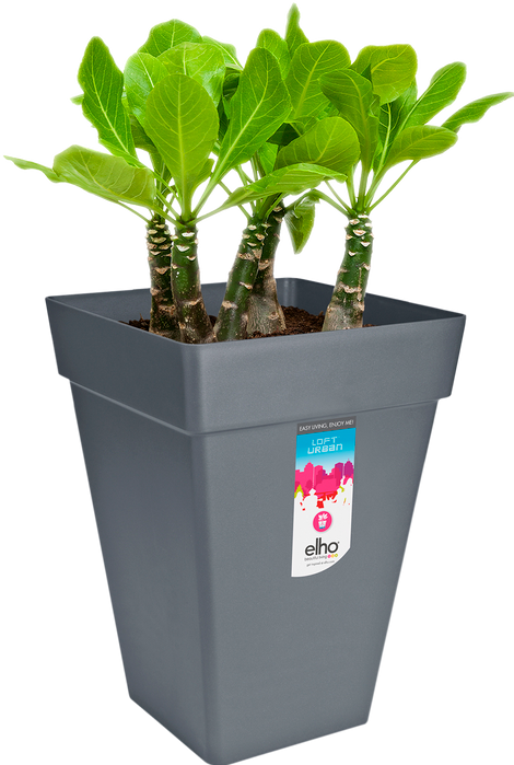 Actual product image Elho Loft Urban (29.30 cm)