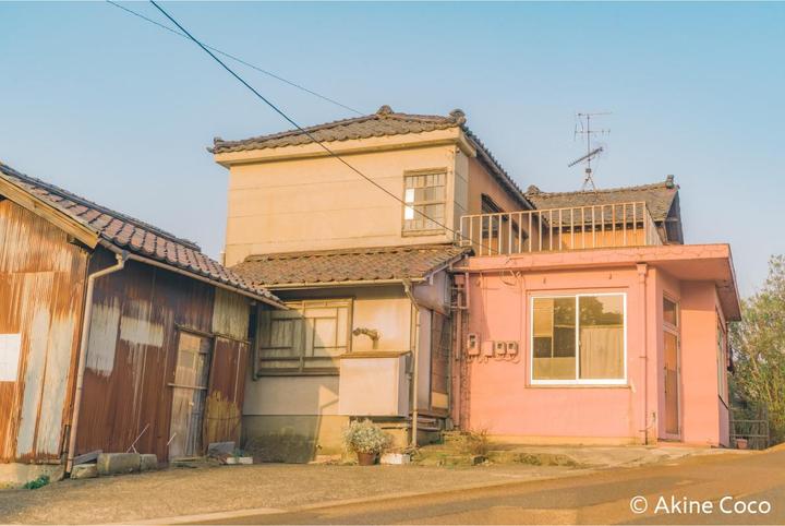 Actual product image Kenko Nostaltone Orange Anime (62 mm, Effect filter)