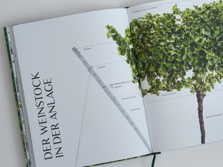 Produktbild Die Weinmacher (Deutsch, Julia Schuller, Stefan Bausewein, 2024)