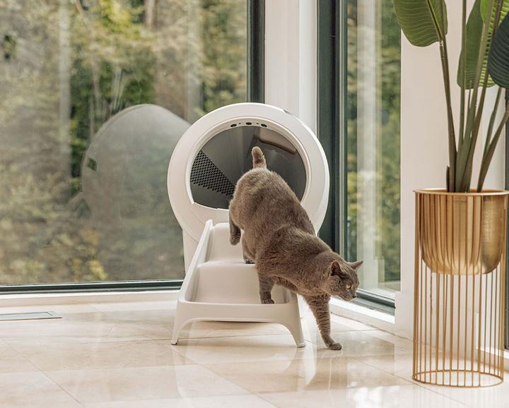 Actual product image Litter-Robot 4 Ramp, white