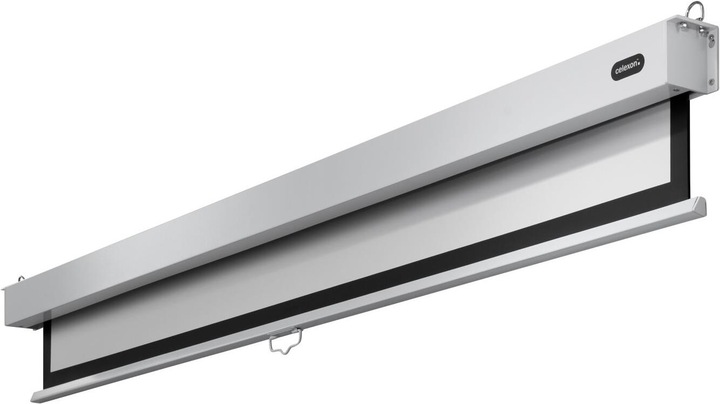 Actual product image Celexon Rollo Professional Plus (108", 16:9)