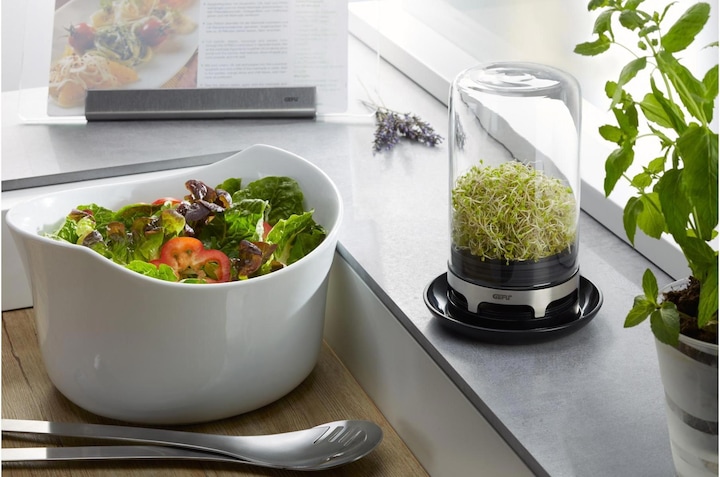 Actual product image GEFU Bivita rung glass