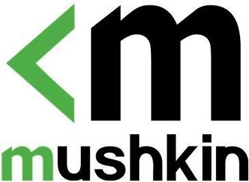 Actual product image Mushkin Element (4000 GB, 2.5")