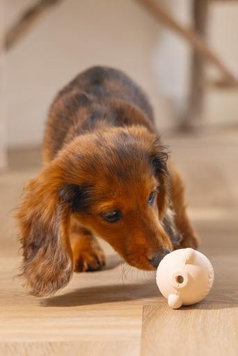 Image du produit Beeztees Sumo Mini Puppy Jouet Play