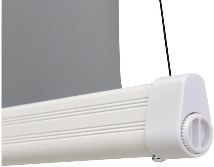 Image du produit Celexon HomeCinema Dynamic Slate ALR (120", 16:9)