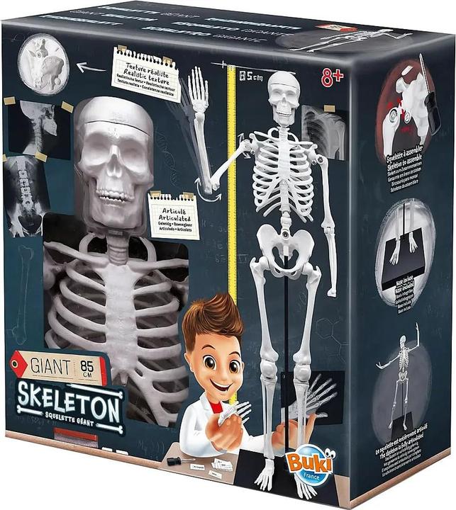Buki SQUELETTE 85 CM