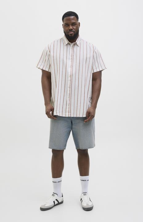 Immagine prodotto Jack & Jones Plus Size Relaxed Fit Hemd Hemd (5XL)