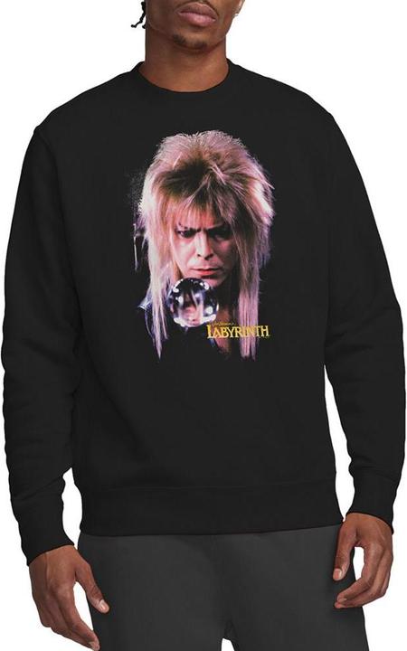 Produktbild Sweatshirt (L)